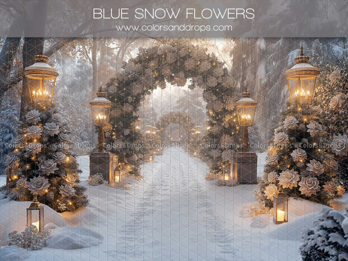 Fond photo de Noël Blue Snow Flowers – allée enneigée avec arche fleurie et lanternes | Colors&Drops
