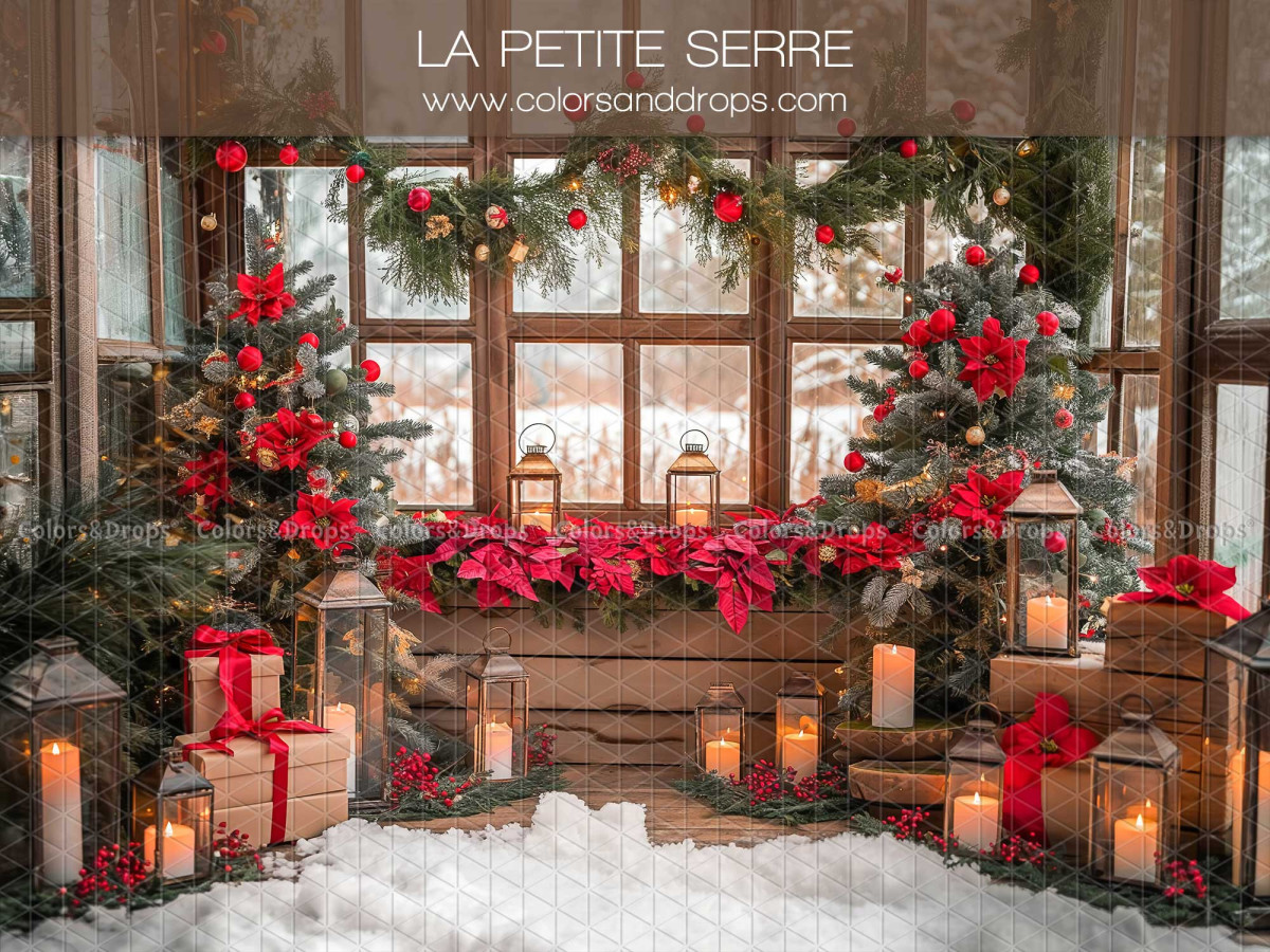 Fond photo de Noël La Petite Serre – petite serre de Noël avec poinsettias et lanternes | Colors&Drops