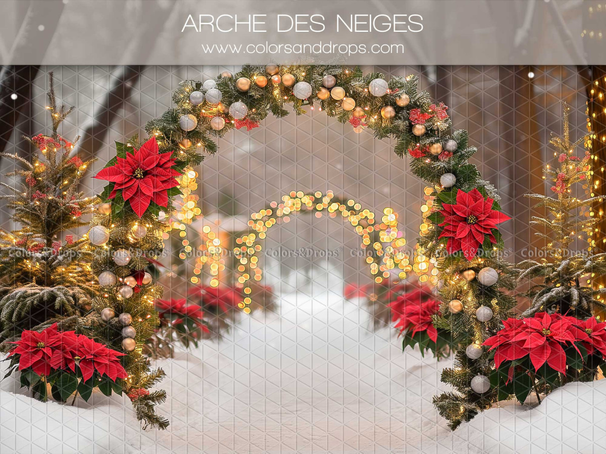 Fond photo de Noël Arche des Neiges – arche de poinsettias et guirlandes dans la neige | Colors&Drops