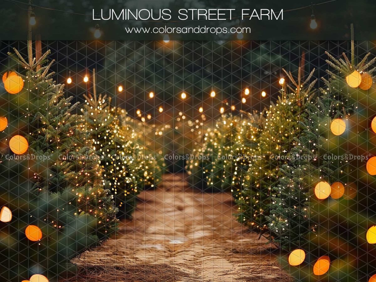Fond photo de Noël Luminous Street Farm – allée de sapins illuminés de nuit | Colors&Drops