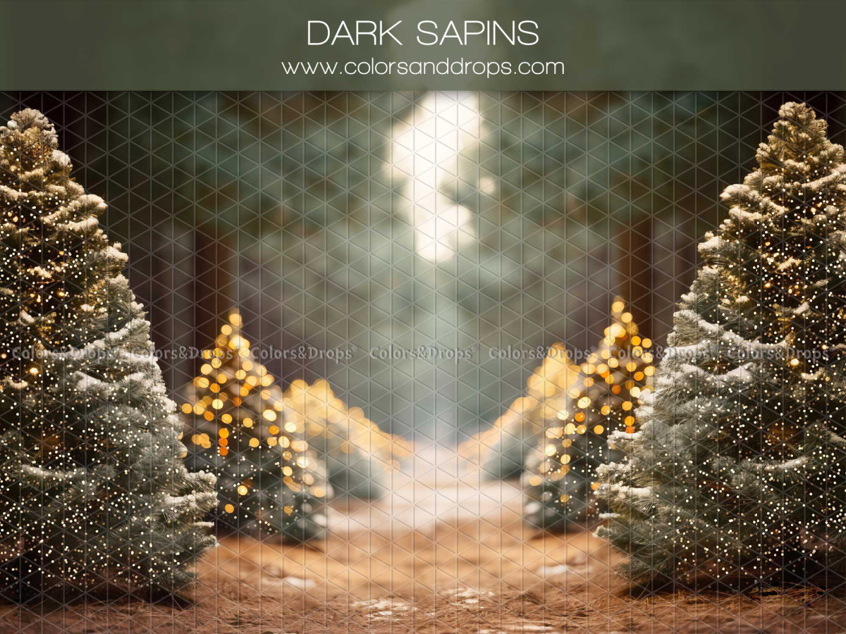 Fond photo de Noël Dark Sapins – allée entre sapins enneigés et lumineux | Colors&Drops