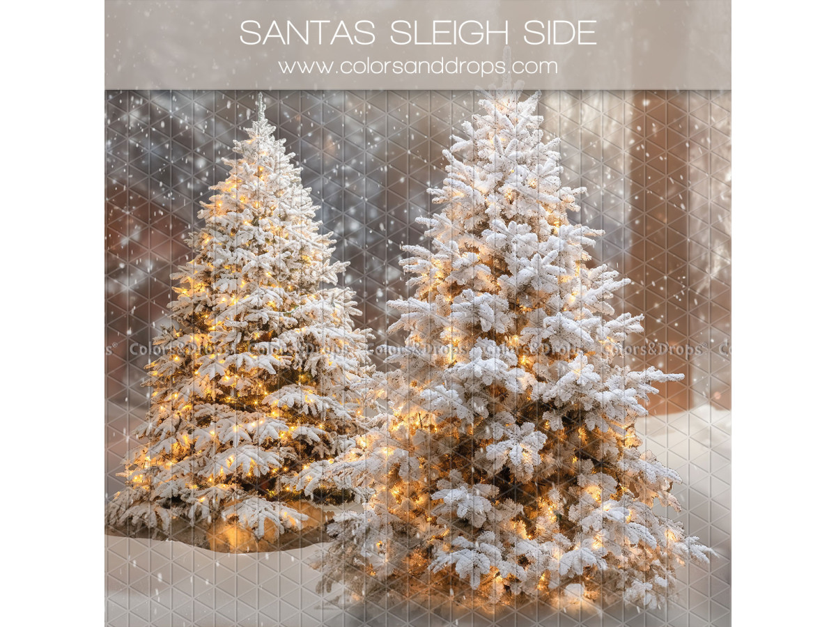 Fondo fotográfico lateral de Navidad Santa's Sleigh Side – abetos nevados iluminados en la nieve | Colors&Drops