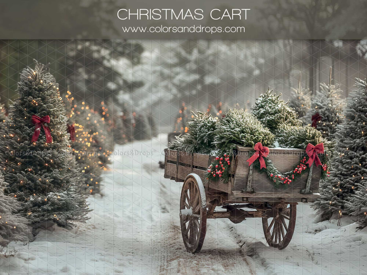 Fond photo Christmas Cart – charrette de sapins dans une allée enneigée | Colors&Drops