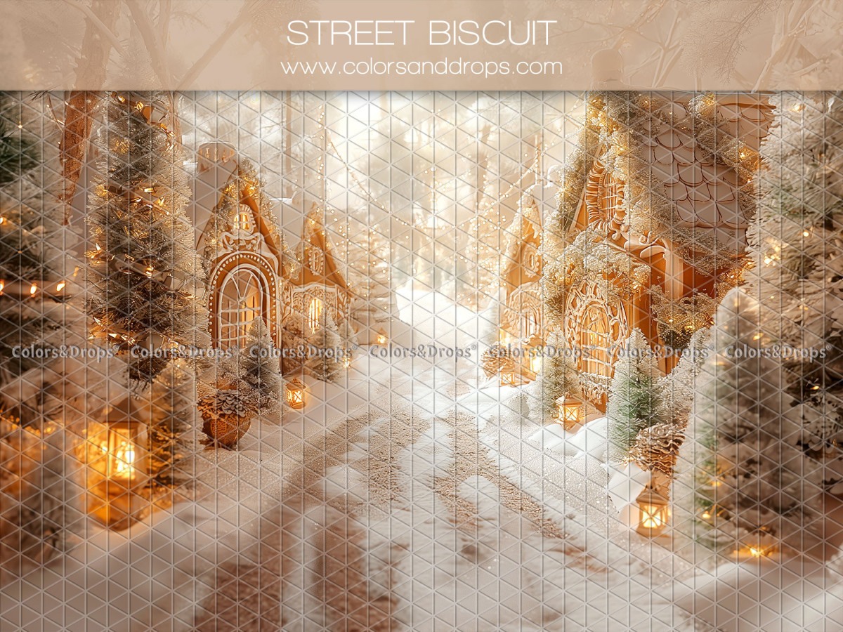 Fondo fotográfico de Navidad Street Biscuit – calle nevada de casas de jengibre con faroles | Colors&Drops