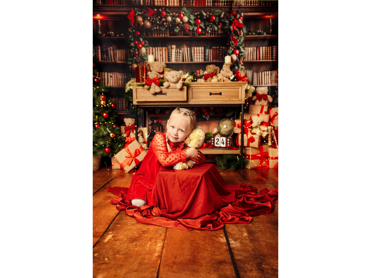Fond photo de Noël La Bibliotheque des Ours – bibliothèque de Noël avec oursons et cadeaux | Colors&Drops