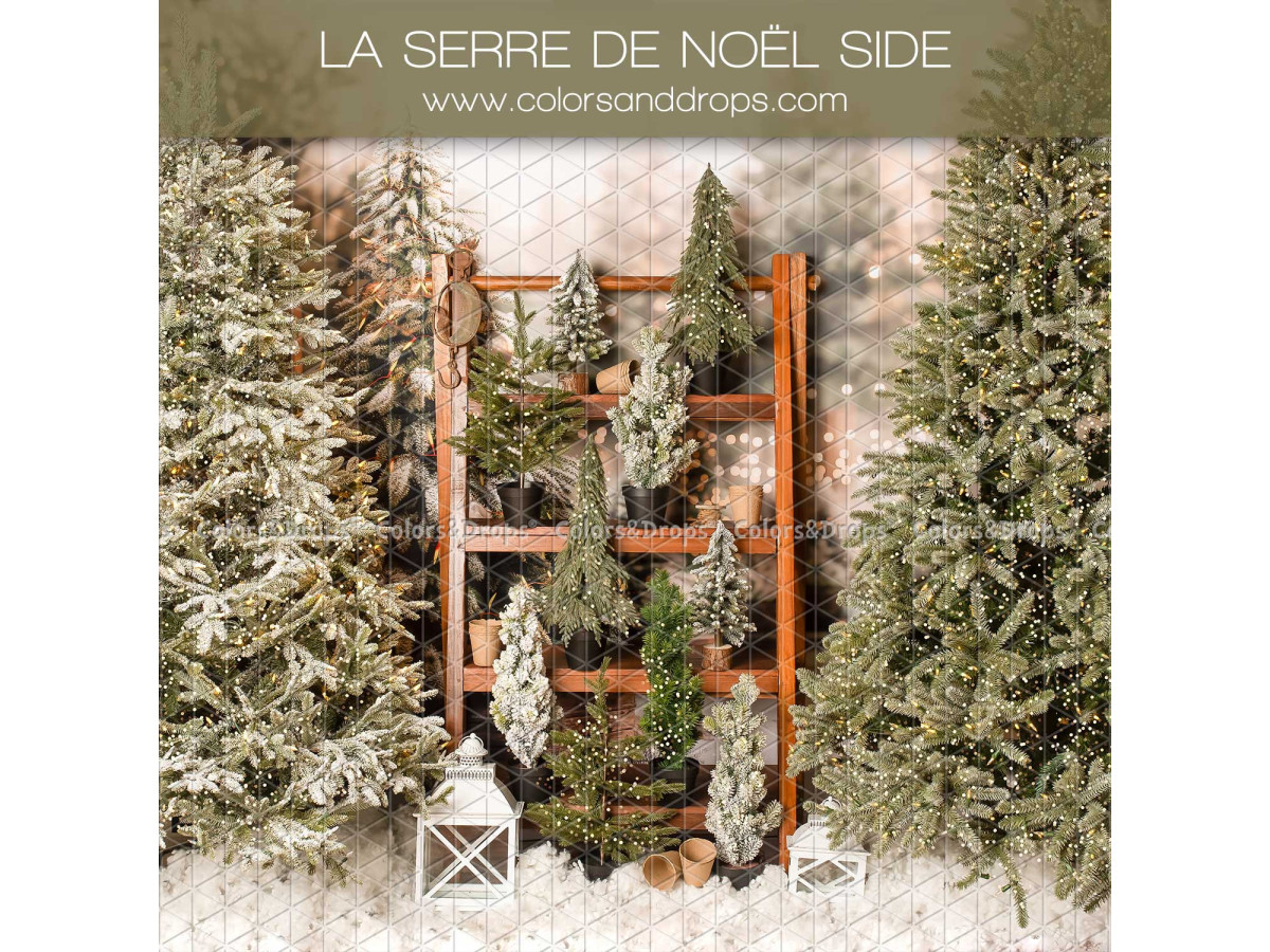 Fondo fotográfico lateral La Serre de Noel Side – estante de madera con pequeños abetos entre grandes abetos | Colors&Drops