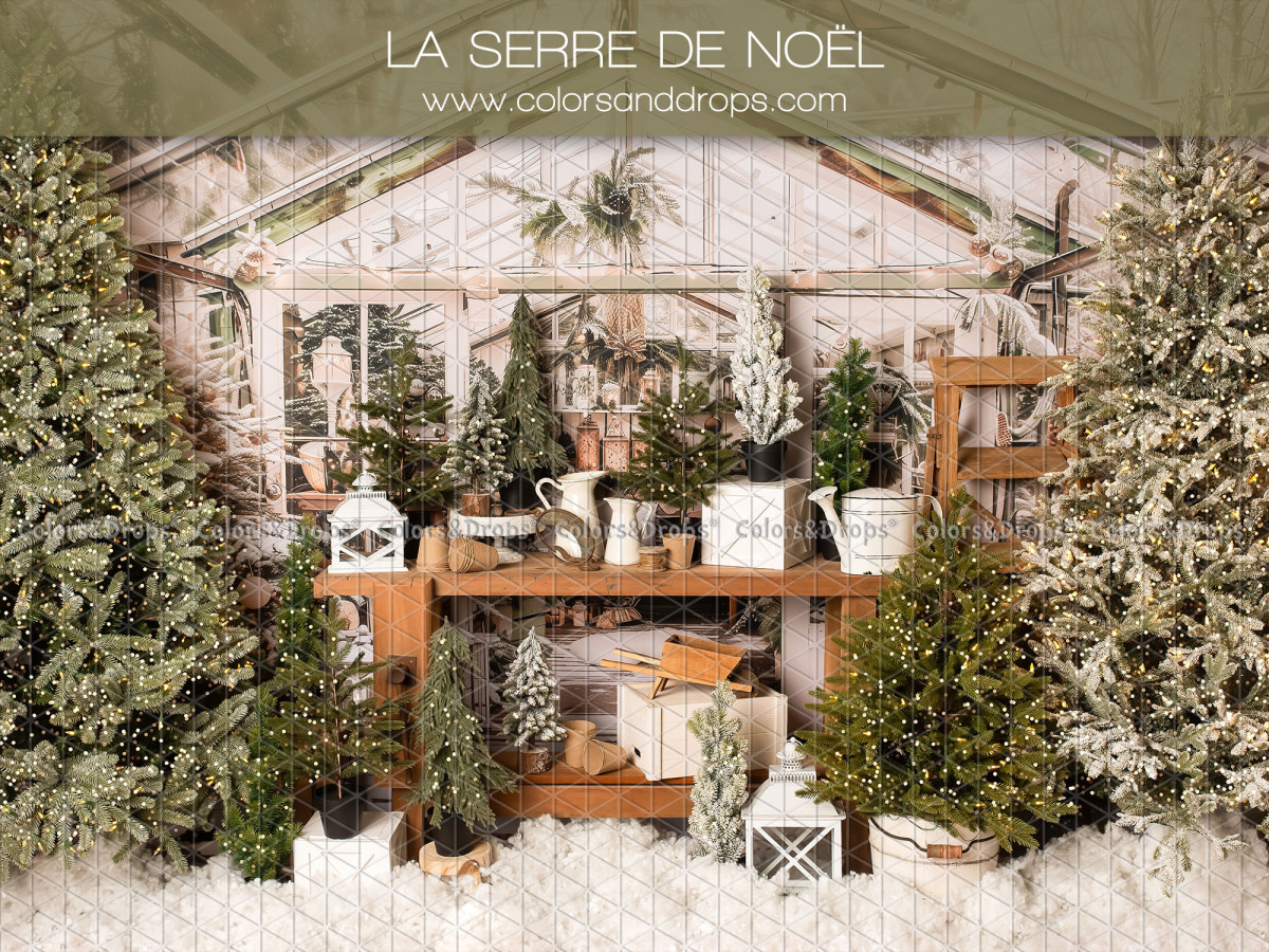 Fondo fotográfico La Serre de Noel – invernadero navideño con plantas, abetos y banco | Colors&Drops