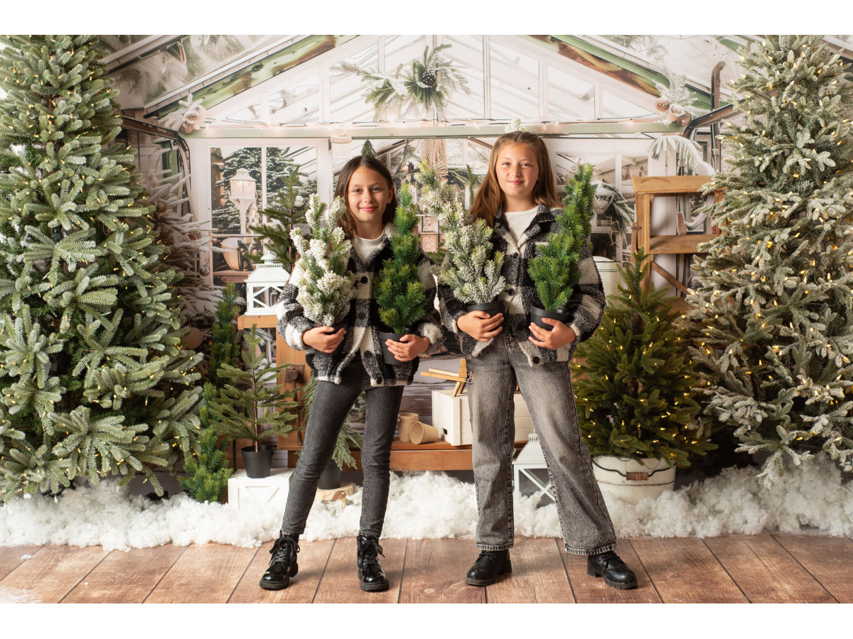 Photo backdrop La Serre de Noel – Christmas greenhouse with plants, trees and workbench | Colors&Drops
