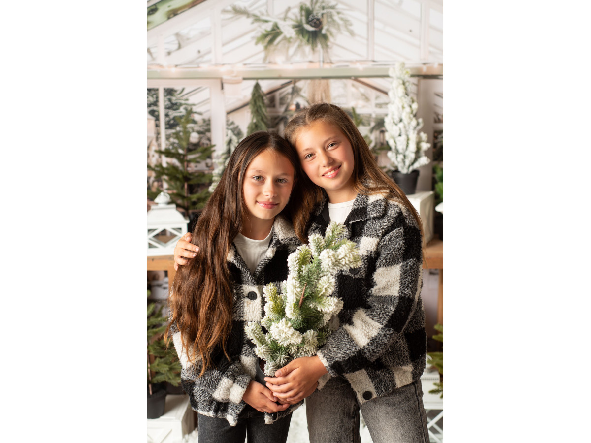 Fond photo La Serre de Noel – serre de Noël avec plantes, sapins et établi | Colors&Drops