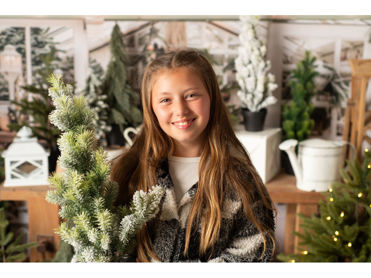 Fond photo La Serre de Noel – serre de Noël avec plantes, sapins et établi | Colors&Drops