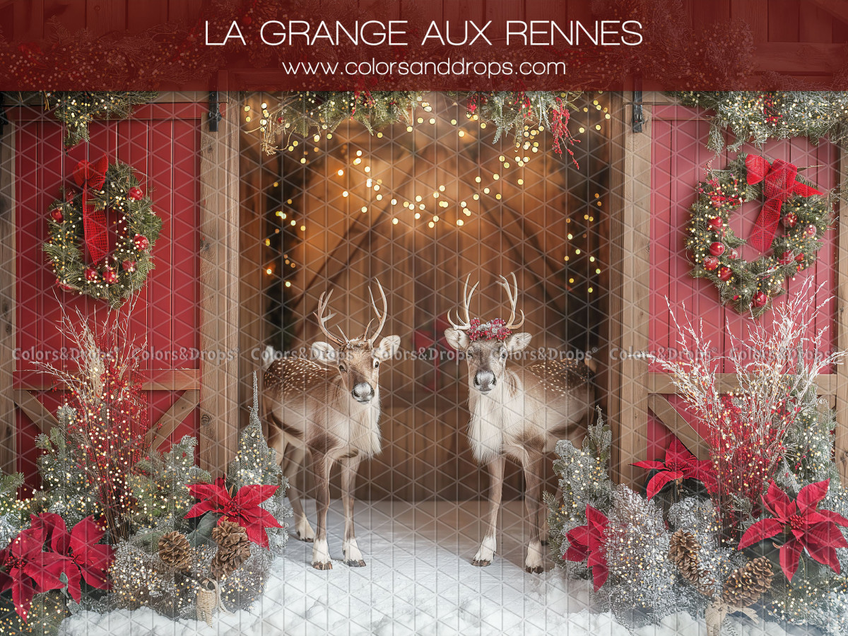 Christmas photo backdrop La Grange aux Rennes – two reindeer in front of a red barn with wreaths | Colors&Drops