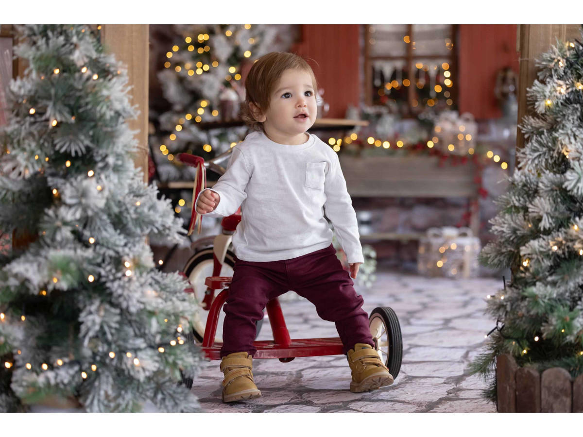 Fond photo de Noël Fenetre sur Rue – fenêtre aux volets rouges avec sapins lumineux | Colors&Drops