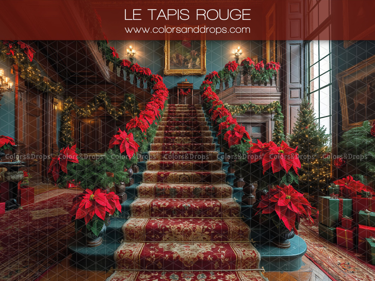 Fond photo de Noël Tapis Rouge – escalier avec tapis rouge et poinsettias | Colors&Drops