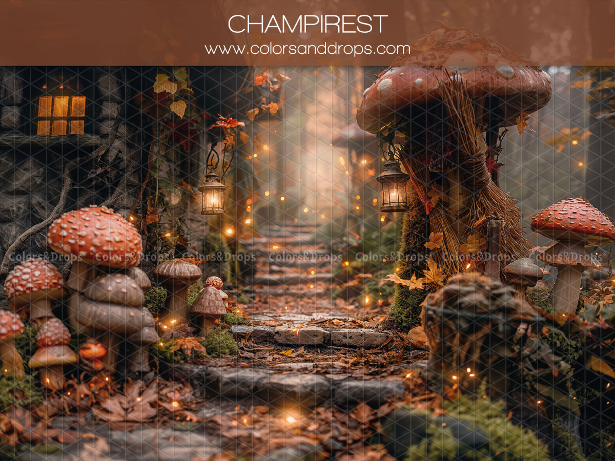 Fond photo bébé et smash cake Champirest – chemin d'escaliers dans une forêt de champignons | Colors&Drops