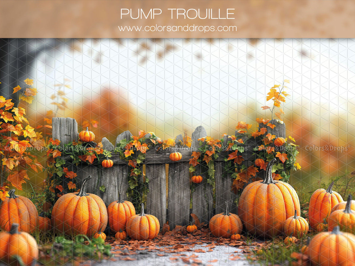 Fond photo bébé et smash cake Pump Trouille – citrouilles devant une clôture en bois fleurie | Colors&Drops