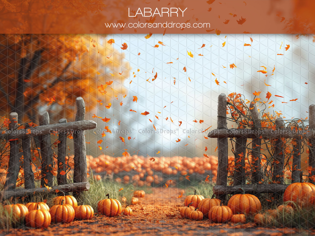 Baby & cake smash photo backdrop Labarry – wooden fences with pumpkins and autumn leaves | Colors&Drops