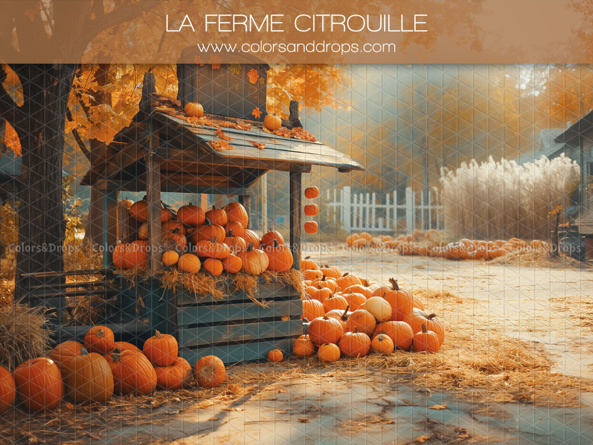 Fond photo bébé et smash cake La Ferme Citrouille – kiosque en bois rempli de citrouilles | Colors&Drops