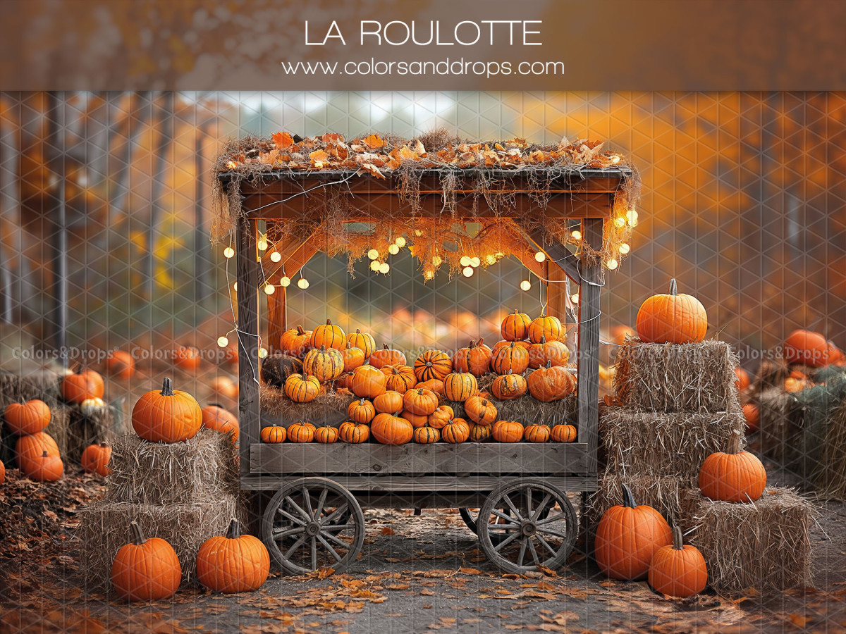 Baby & cake smash photo backdrop La Roulotte – pumpkin cart with hay bales in the forest | Colors&Drops