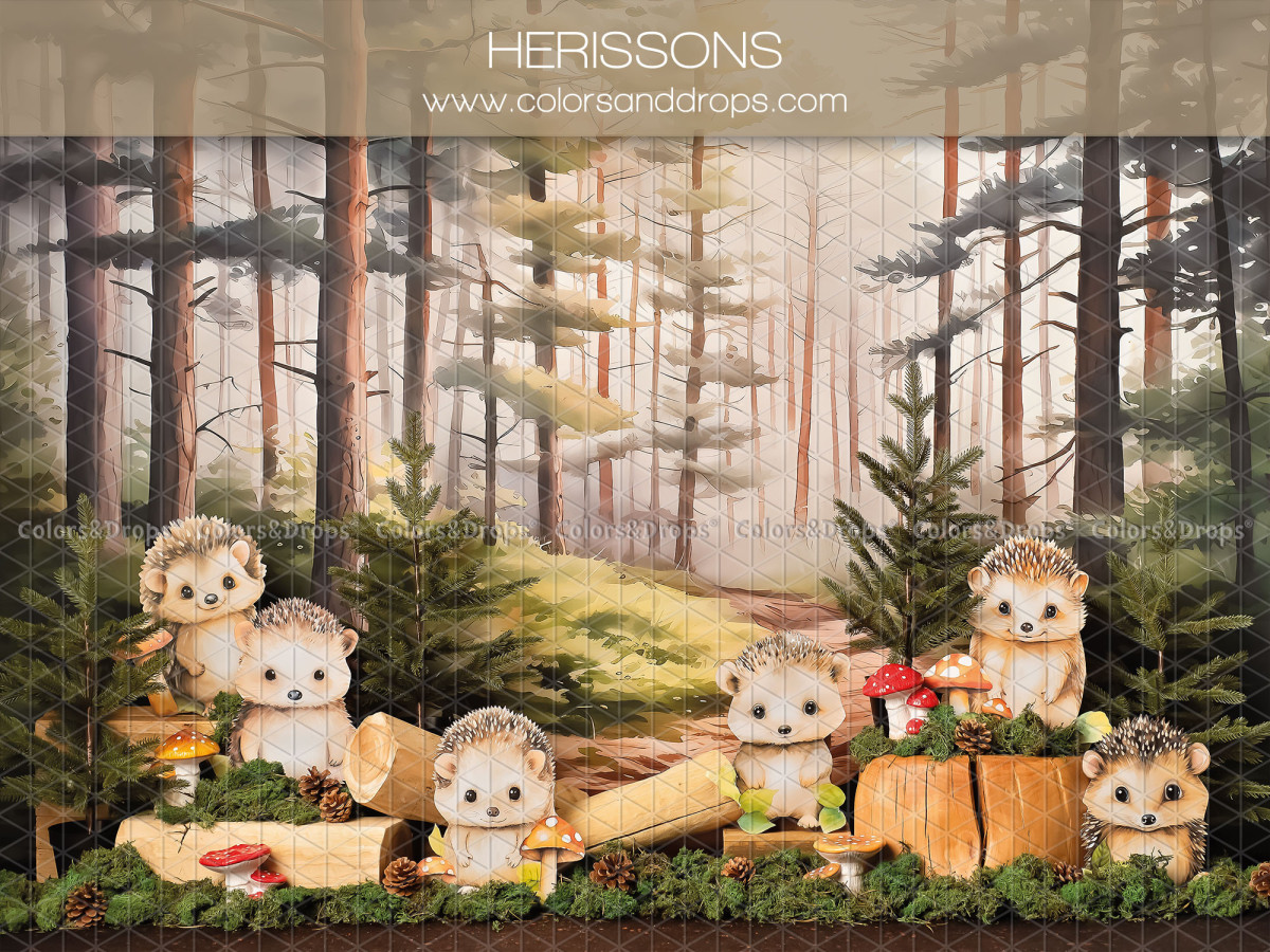 Fondo fotográfico de bebé y smash cake Herissons – erizos en un bosque de pinos | Colors&Drops