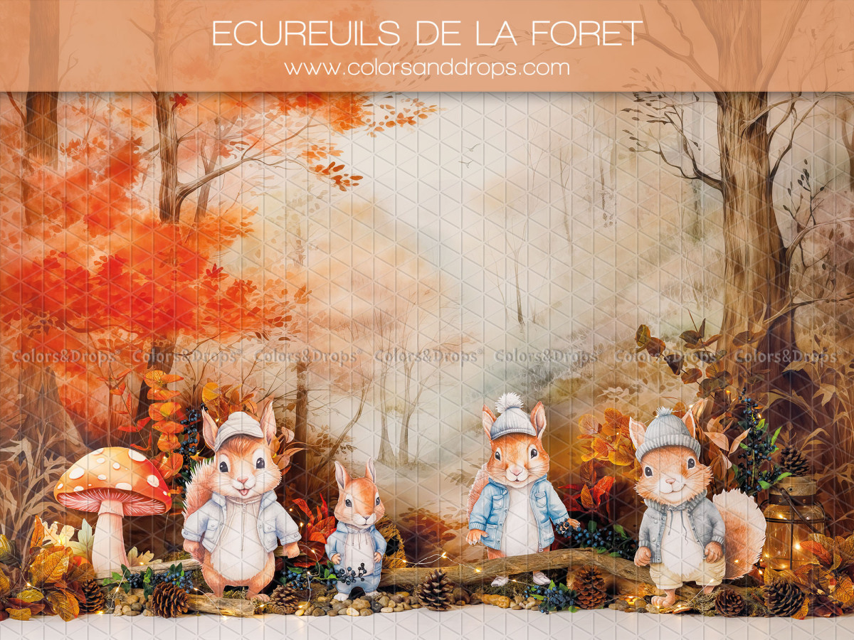 Fond photo bébé et smash cake Ecureuils de la Foret – écureuils dans une forêt d'automne avec champignons | Colors&Drops