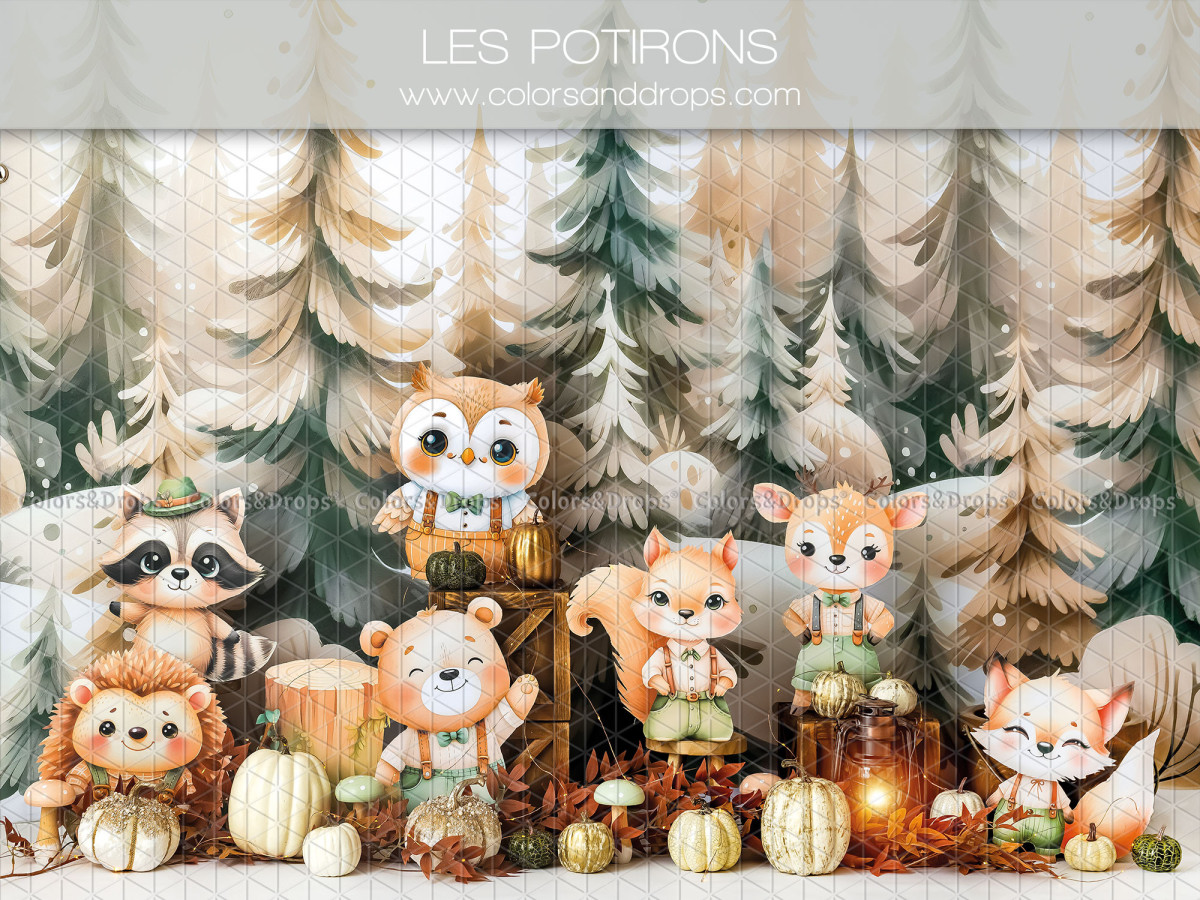 Fond photo bébé et smash cake Les Potirons – animaux de la forêt entre sapins avec citrouilles | Colors&Drops