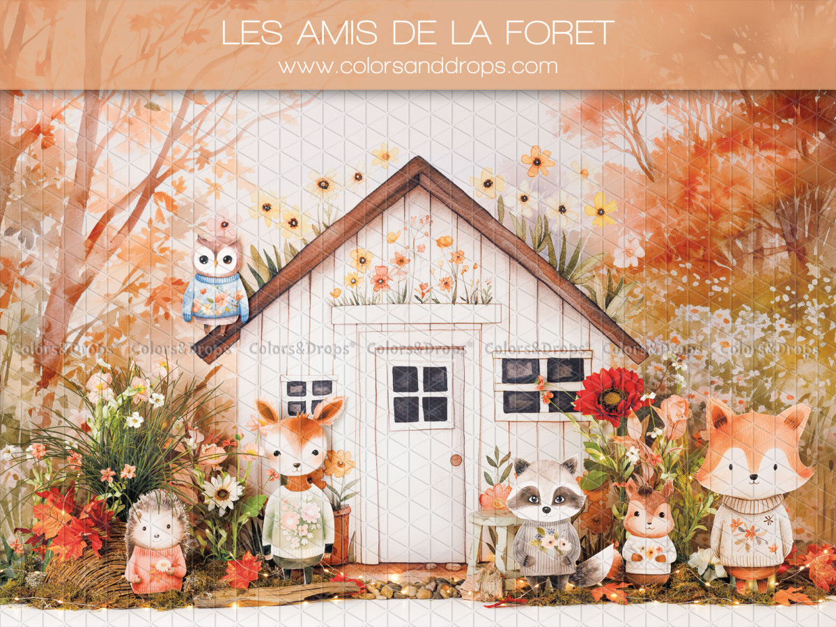 Fond photo bébé et smash cake Les Amis de la Foret – maisonnette blanche avec animaux de la forêt | Colors&Drops