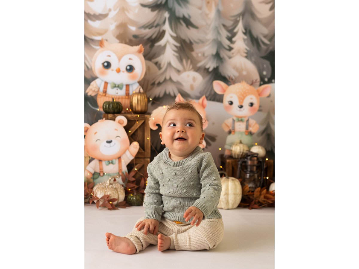 Fond photo bébé et smash cake Les Potirons – animaux de la forêt entre sapins avec citrouilles | Colors&Drops