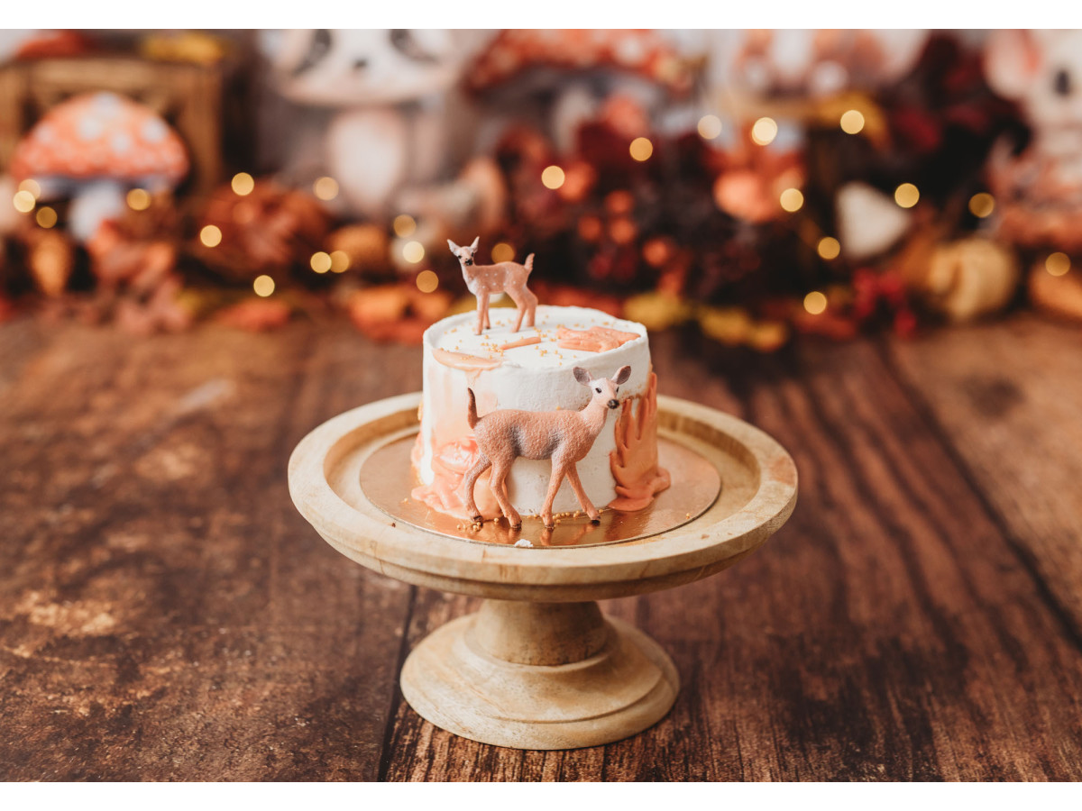 Fond photo bébé et smash cake Woody Friends – animaux des bois avec champignons et feuilles d'automne | Colors&Drops