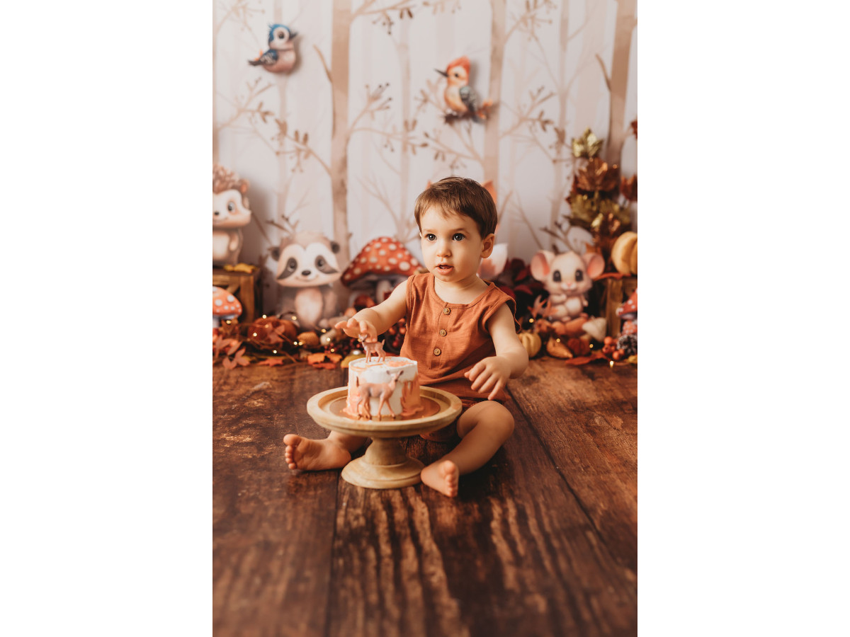 Fondo fotográfico de bebé y smash cake Woody Friends – animales del bosque con setas y hojas de otoño | Colors&Drops