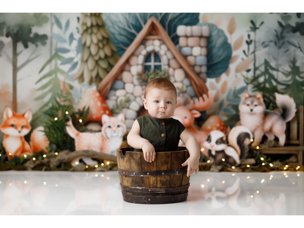 Fondo fotográfico de bebé y smash cake Lynx and Friends – casita de piedra con lince, zorro y animales | Colors&Drops