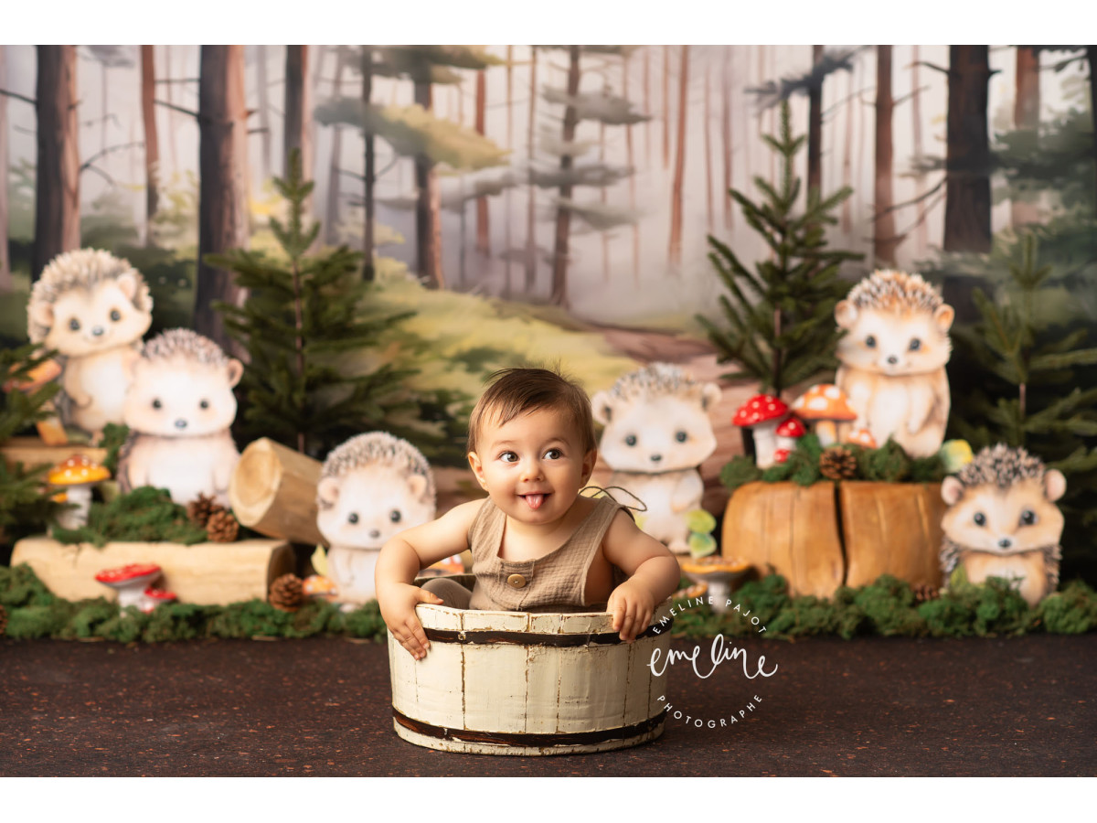 Fond photo bébé et smash cake Herissons – hérissons dans une forêt de pins | Colors&Drops