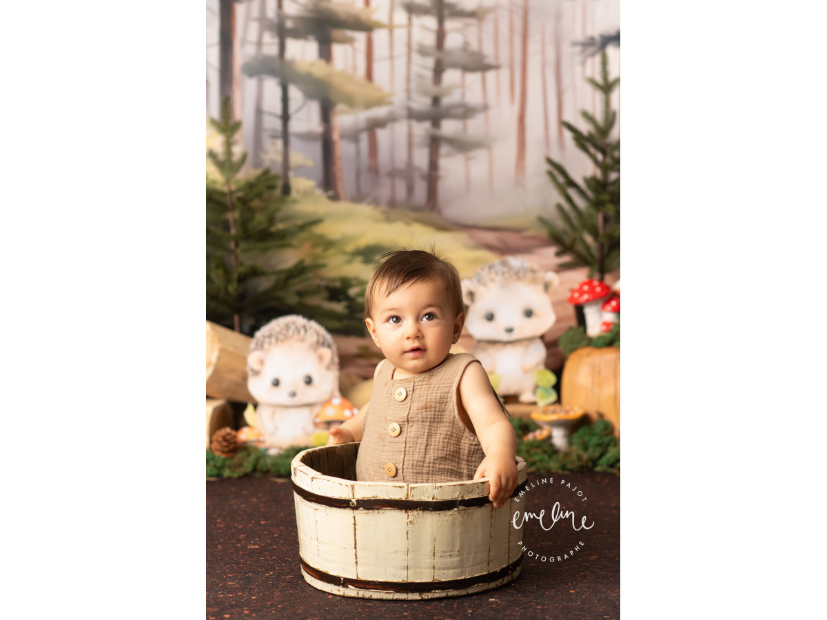 Fond photo bébé et smash cake Herissons – hérissons dans une forêt de pins | Colors&Drops