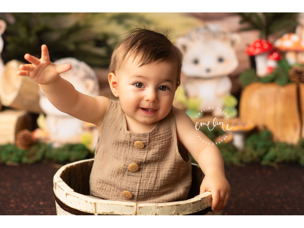 Fond photo bébé et smash cake Herissons – hérissons dans une forêt de pins | Colors&Drops
