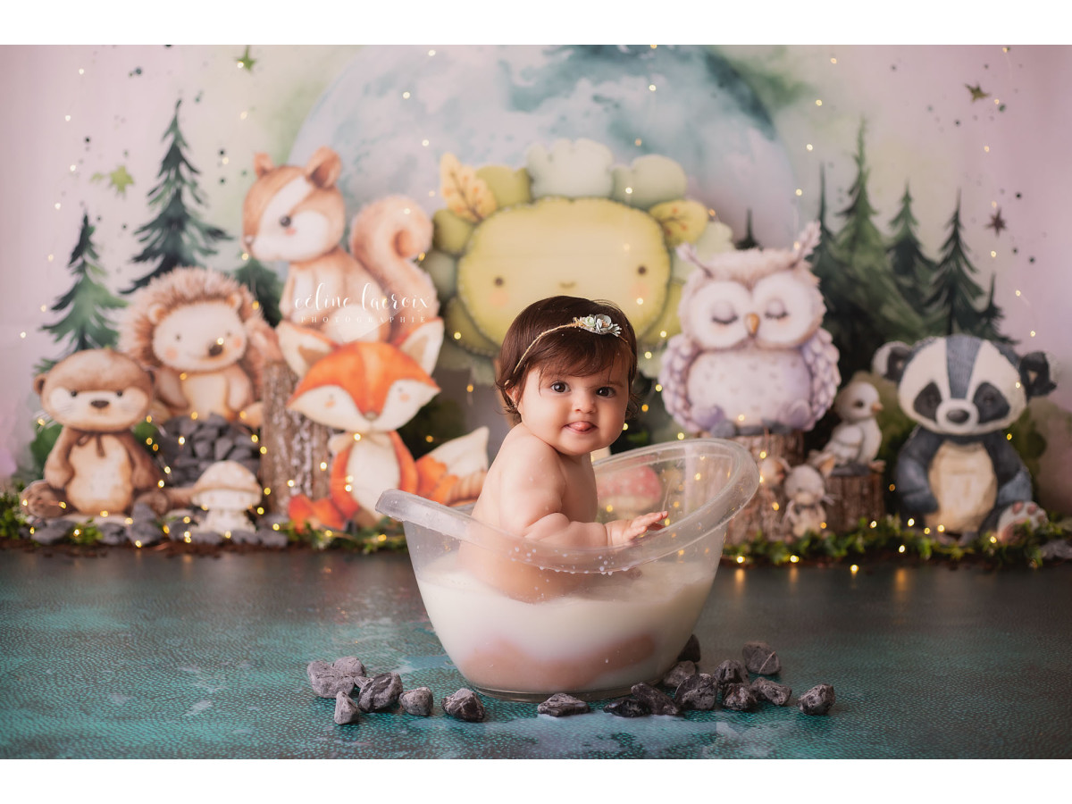 Fond photo bébé et smash cake La Terre des Animaux – animaux de la forêt avec renard, hibou et blaireau | Colors&Drops