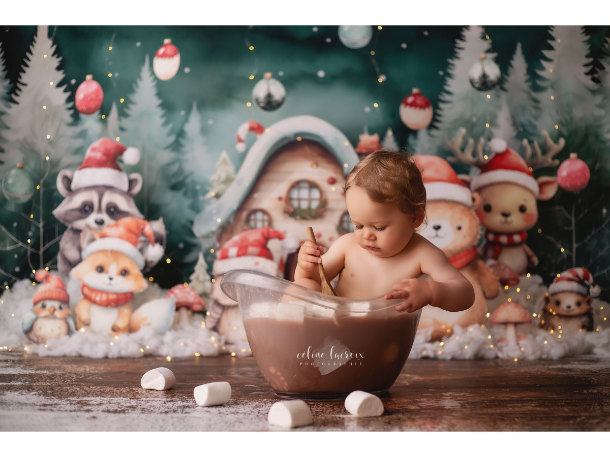 Fond photo bébé et smash cake Les Animaux de Noël – animaux de Noël devant une maisonnette enneigée | Colors&Drops