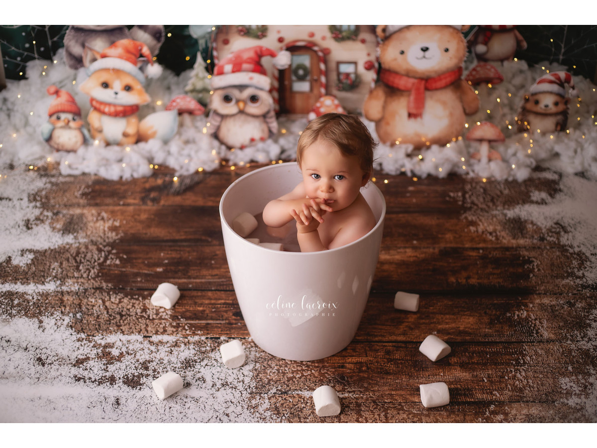 Fond photo bébé et smash cake Les Animaux de Noël – animaux de Noël devant une maisonnette enneigée | Colors&Drops