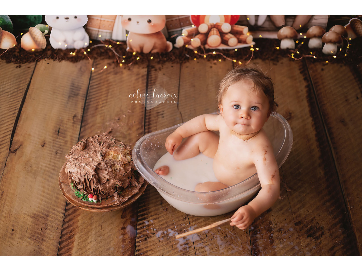 Fondo fotográfico de bebé y smash cake Les Animaux de Noël – animales navideños frente a una casita nevada | Colors&Drops