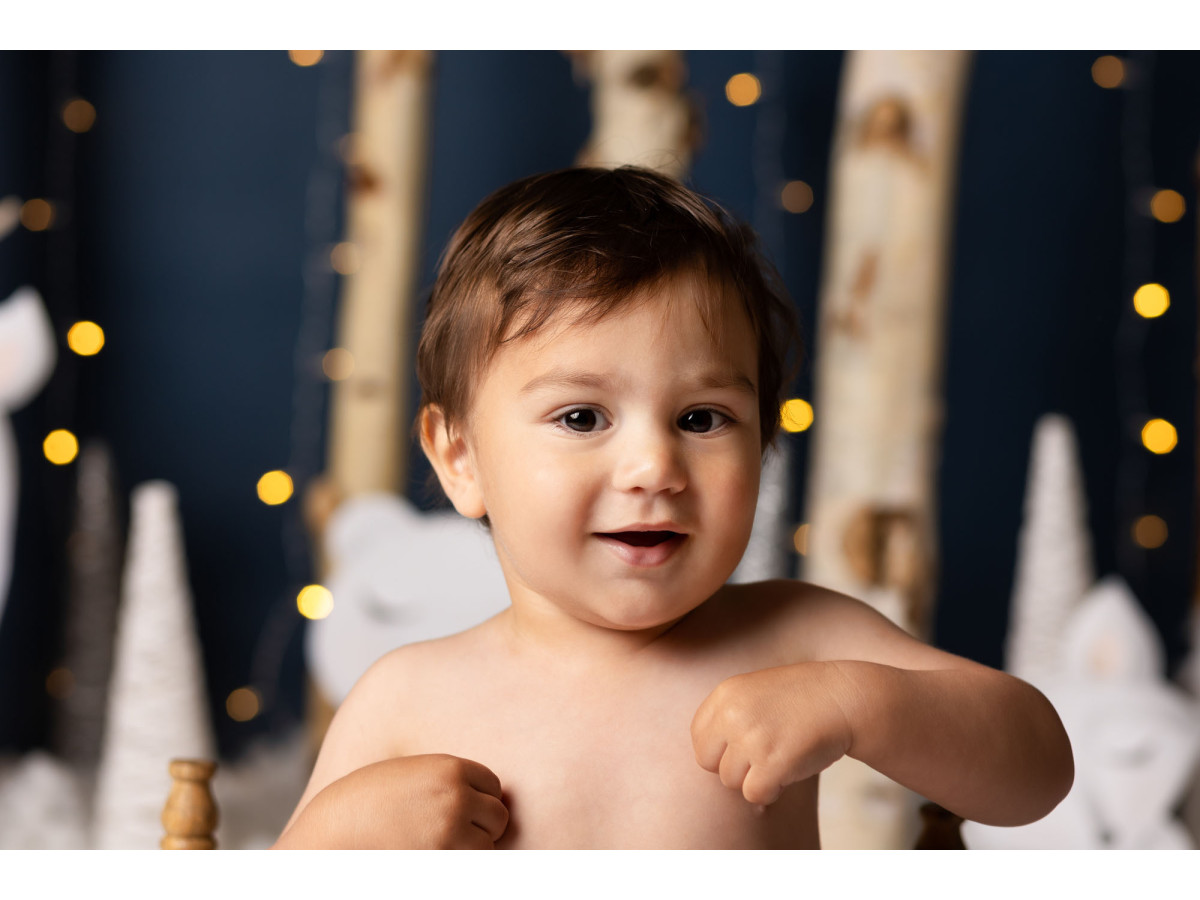 Fond photo bébé et smash cake Icy Snowy – forêt de bouleaux la nuit avec animaux blancs | Colors&Drops