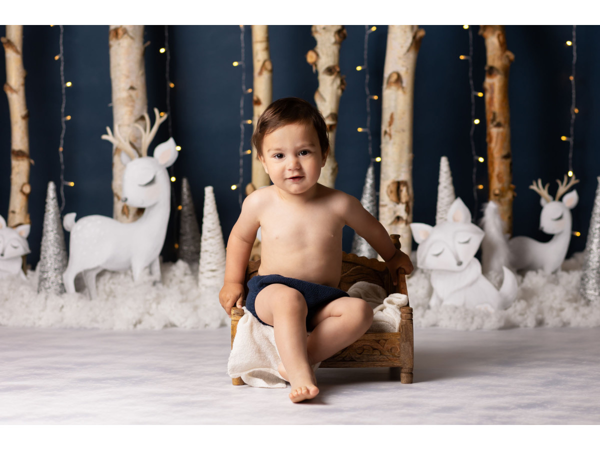 Fond photo bébé et smash cake Icy Snowy – forêt de bouleaux la nuit avec animaux blancs | Colors&Drops