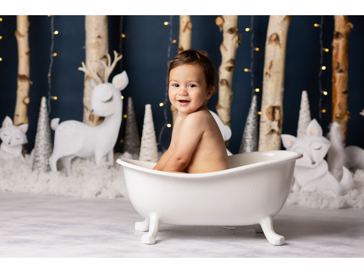 Fond photo bébé et smash cake Icy Snowy – forêt de bouleaux la nuit avec animaux blancs | Colors&Drops