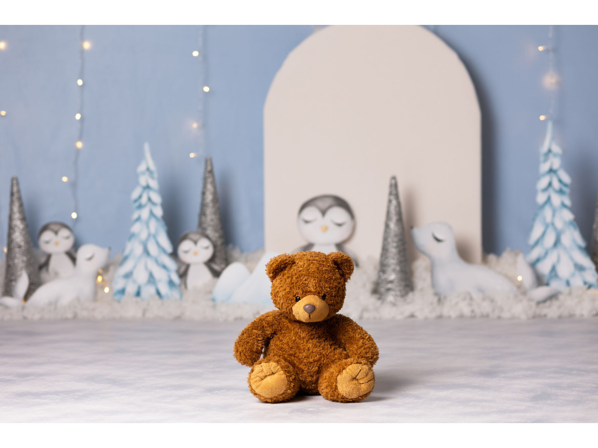 Fond photo bébé et smash cake Otarya – pingouins et sapins devant une arche blanche | Colors&Drops