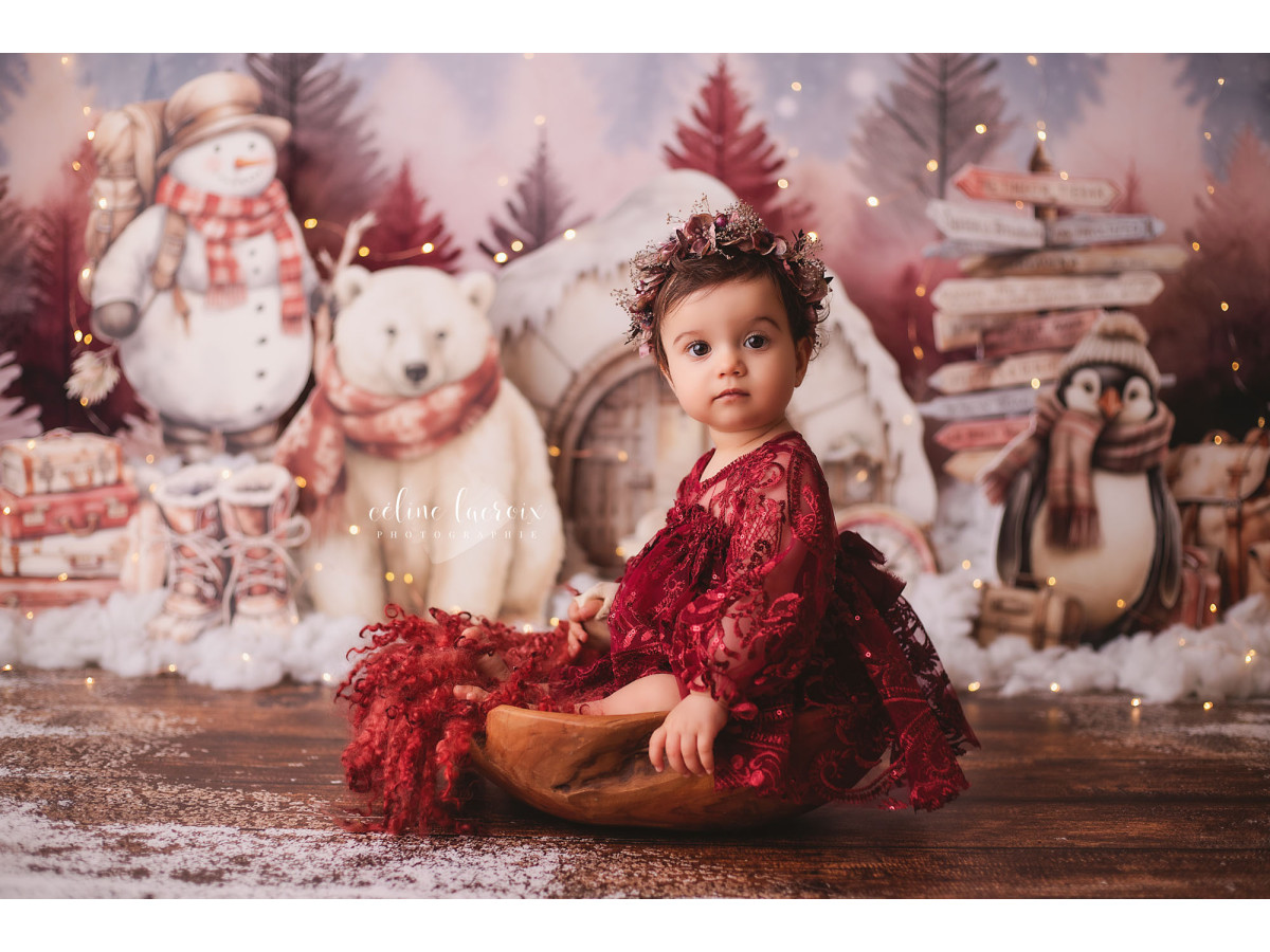 Fond photo bébé et smash cake L'Igloo des Ours – ours et bonhomme de neige devant un igloo rose | Colors&Drops