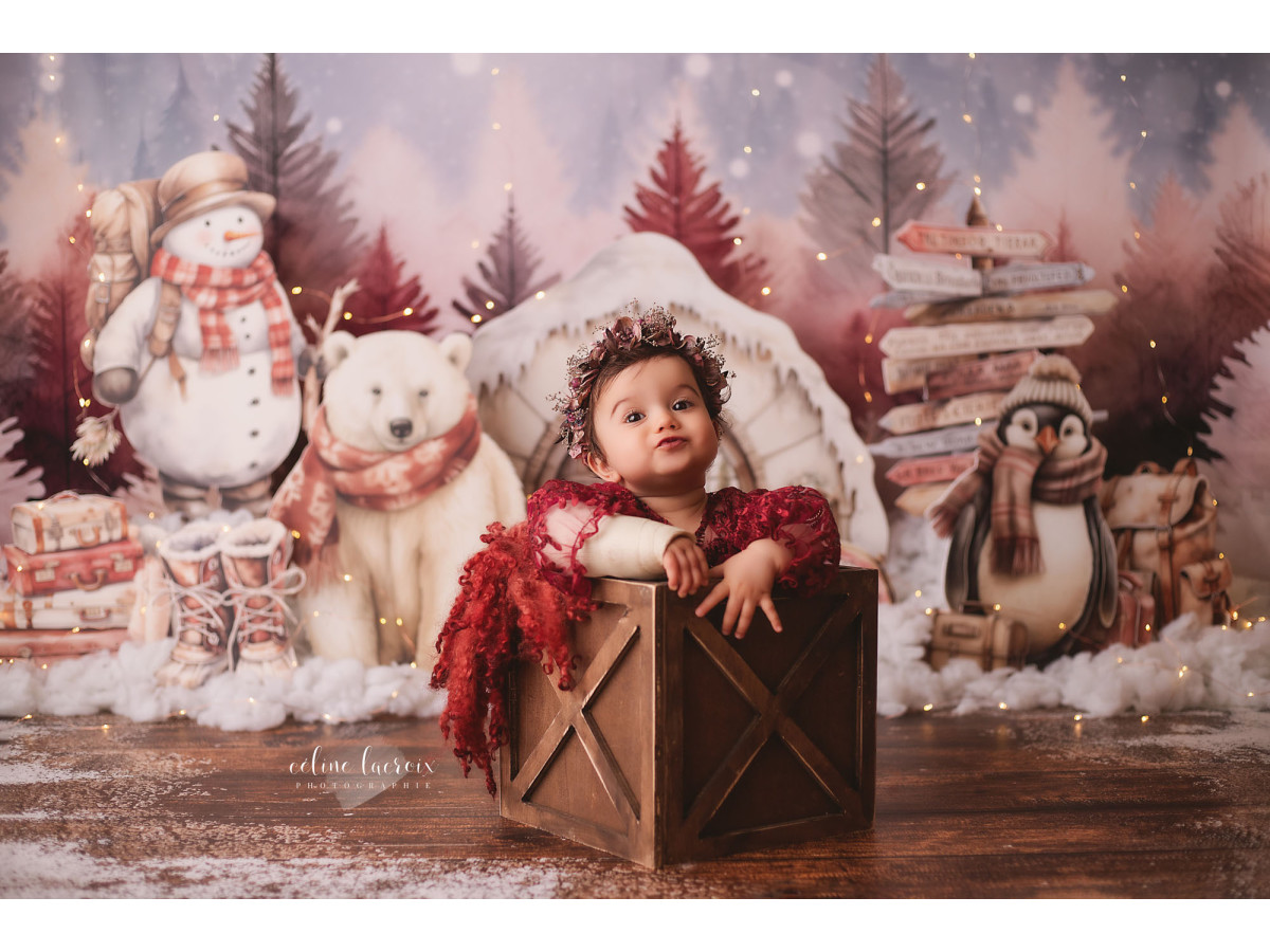 Fondo fotográfico de bebé y smash cake L'Igloo des Ours – oso y muñeco de nieve frente a un iglú rosa | Colors&Drops