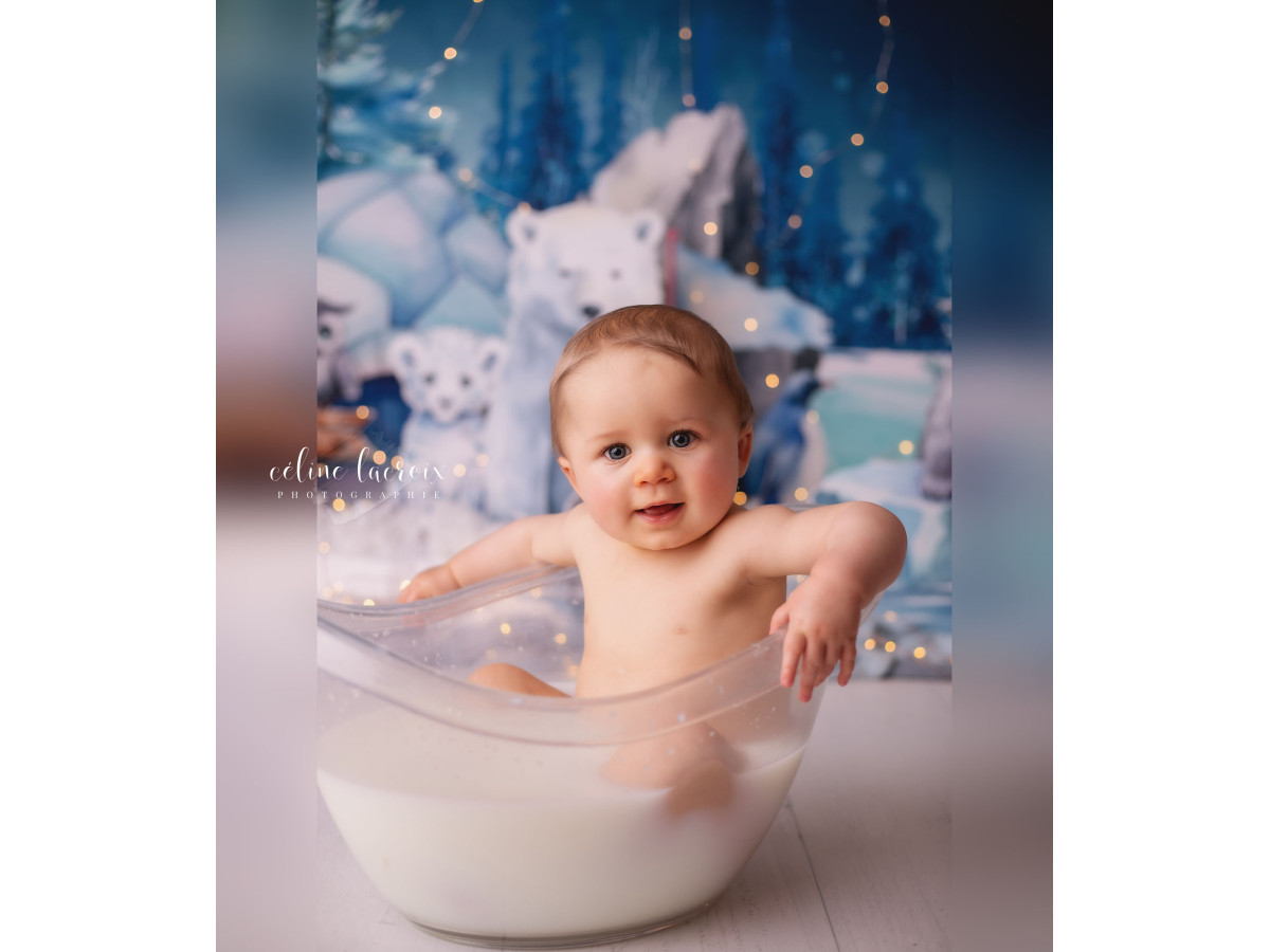 Fond photo bébé et smash cake Bankize – animaux polaires sur la banquise avec sapins | Colors&Drops