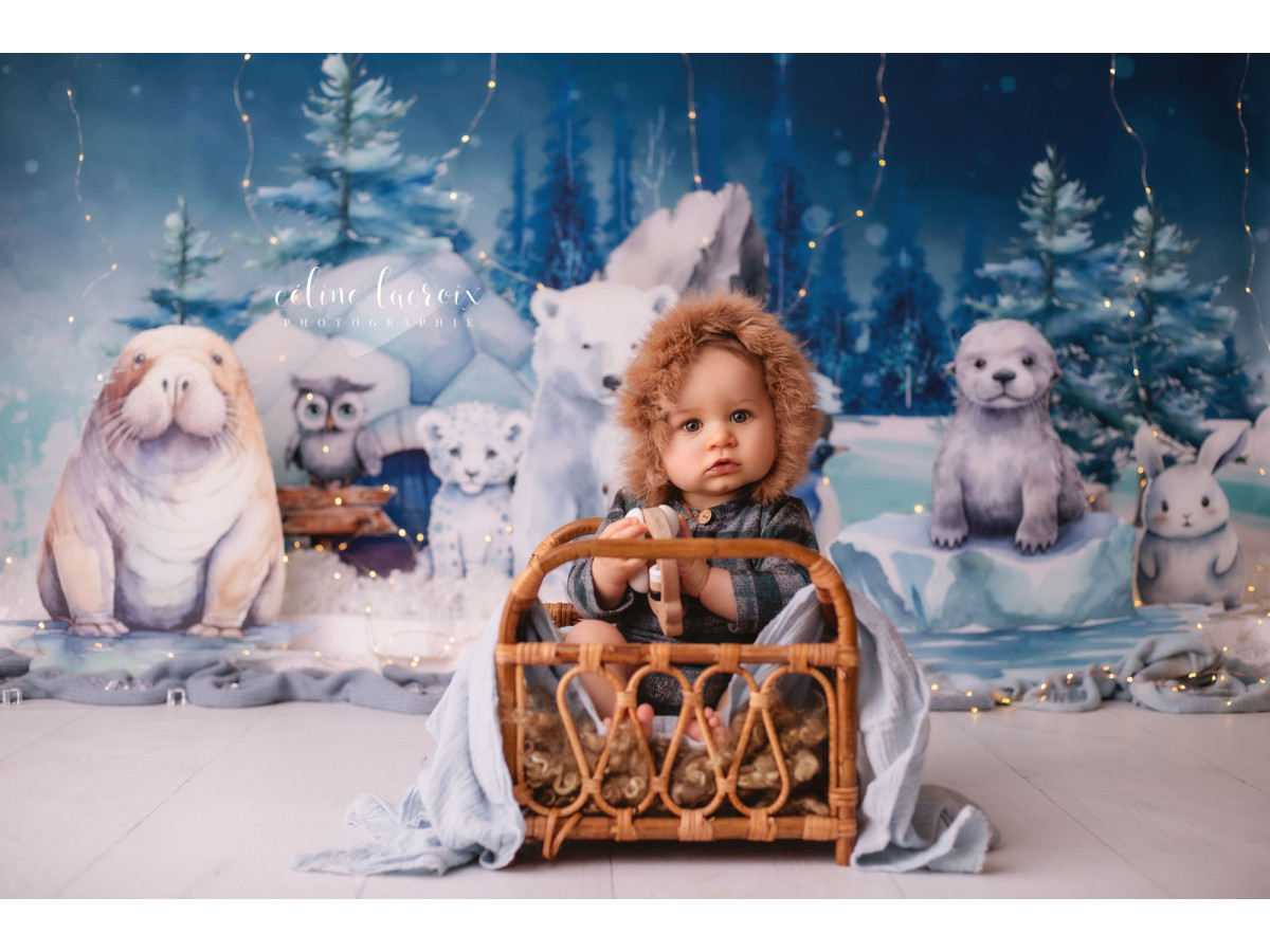 Fond photo bébé et smash cake Bankize – animaux polaires sur la banquise avec sapins | Colors&Drops