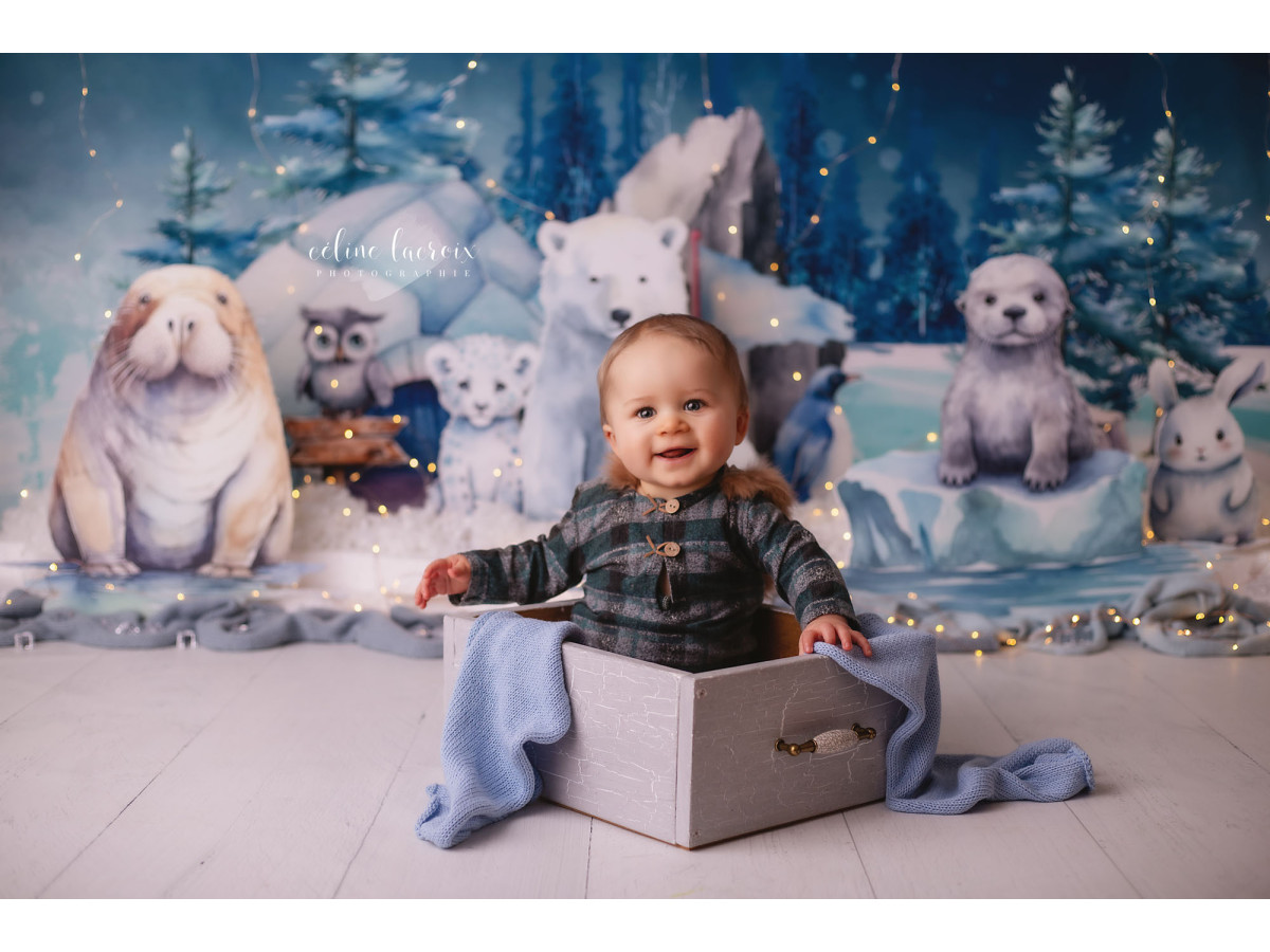 Fond photo bébé et smash cake Bankize – animaux polaires sur la banquise avec sapins | Colors&Drops