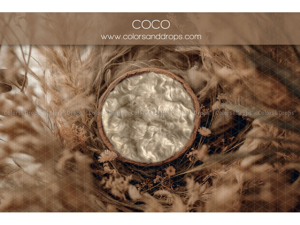 Newborn photo backdrop Coco – wool nest in a basket surrounded by pampas | Colors&Drops