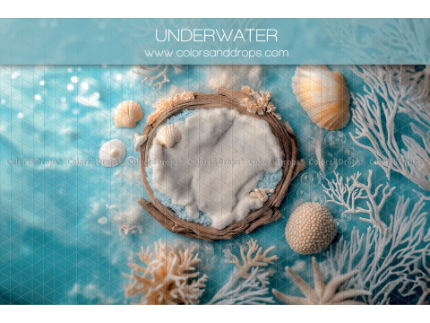 Fondo fotográfico de recién nacido Underwater – nido de mimbre bajo el agua con corales y conchas | Colors&Drops