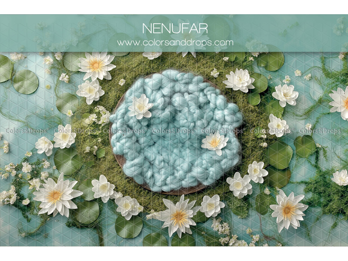 Fondo fotográfico de recién nacido Nenufar – nido de lana azul rodeado de flores blancas | Colors&Drops