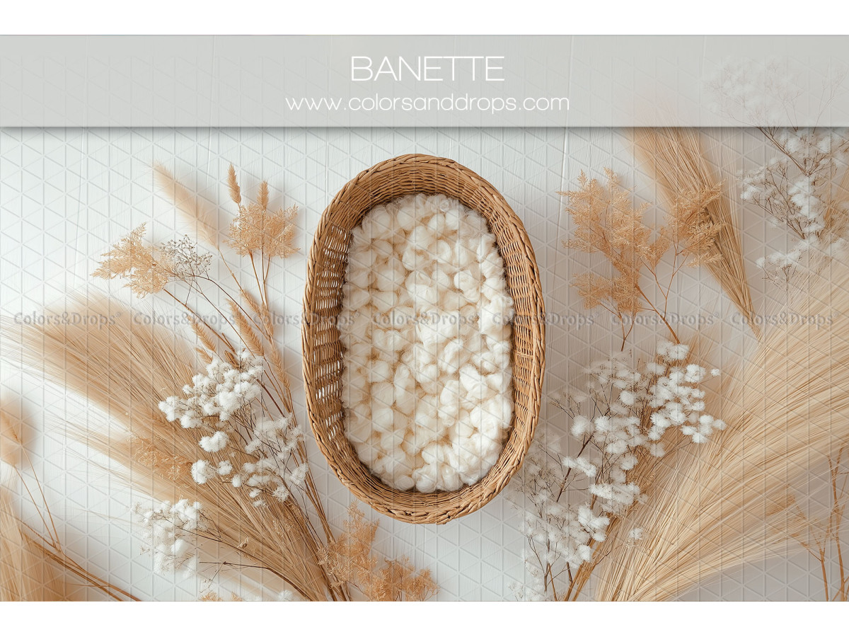 Fond photo nouveau-né Banette – panier en osier avec laine et pampa | Colors&Drops